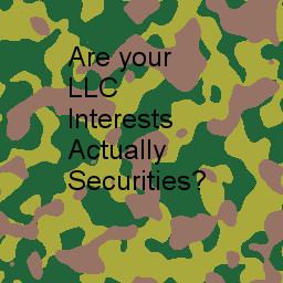 Text: Are Your LLC Interests Actually Securities? with Camoflage Background