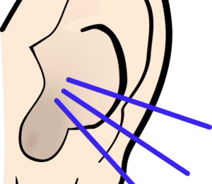 Drawing of a pinky-white flesh-colored ear with 3 blue lines to indicate listening from OpenClipArt.org
