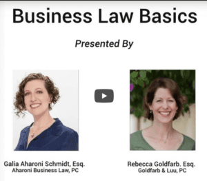 Screenshot of Business Law Basics Video on YouTube, which has headshots of Galia Schmidt, Esq, & Rebecca Goldfarb, Esq